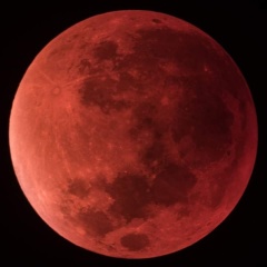 bloodmoon